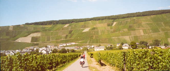 Mittelmosel